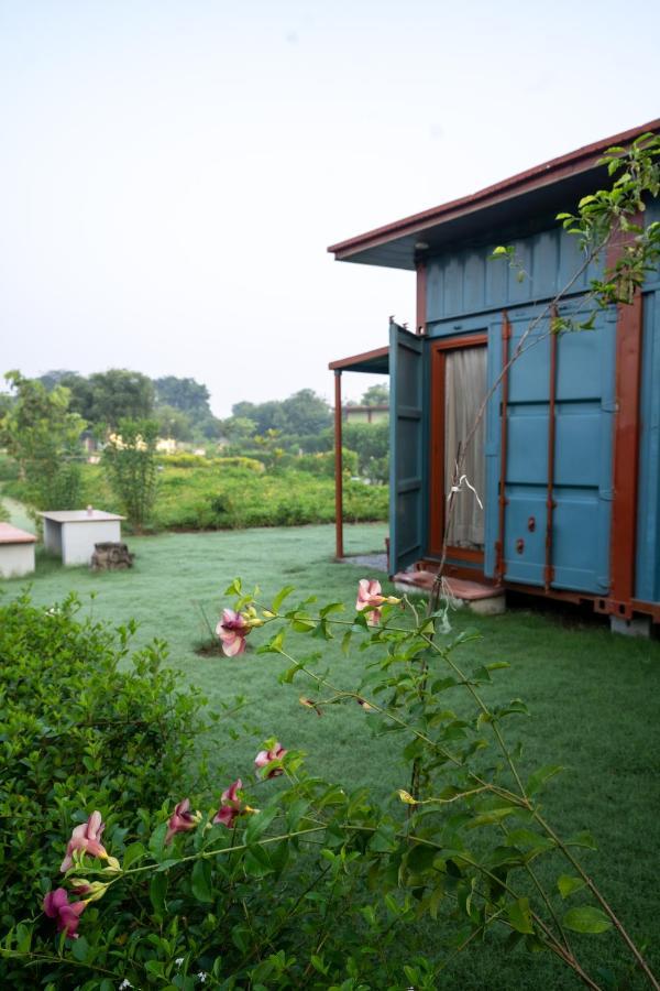 Hotel Tree Of Life Ecotainers Agra Agra  Esterno foto