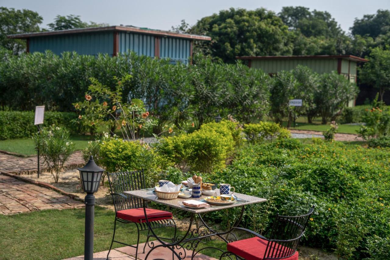 Hotel Tree Of Life Ecotainers Agra Agra  Esterno foto