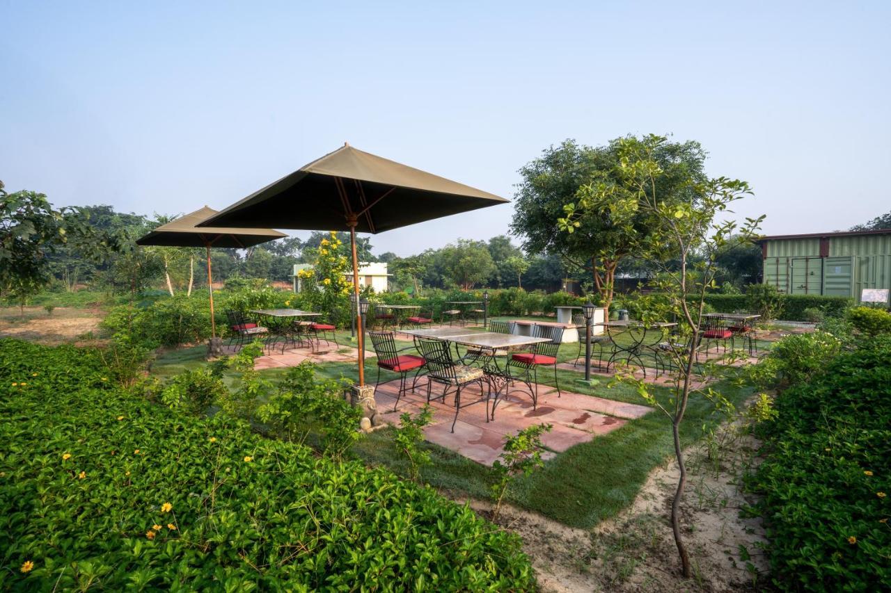 Hotel Tree Of Life Ecotainers Agra Agra  Esterno foto
